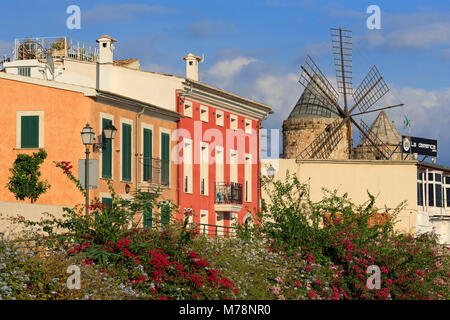 Mulino a vento in Barrio Es Jonquet, Palma de Mallorca, Maiorca, isole Baleari, Spagna, Mediterraneo, Europa Foto Stock