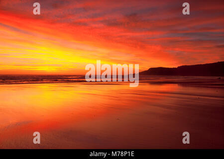 Praia do Amado spiaggia al tramonto, Carrapateira, Costa Vicentina, Algarve, Portogallo, Europa Foto Stock