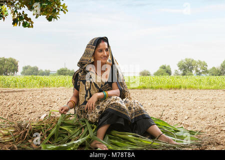 Donna rurale seduta nel campo di riso Foto Stock