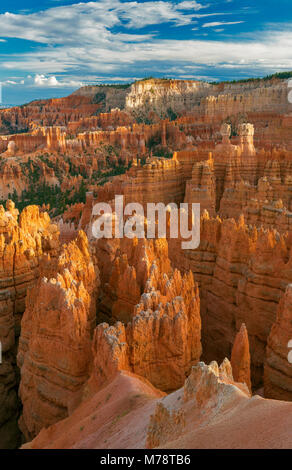 Hoodoos, Wall Street, il Parco Nazionale di Bryce Canyon, Utah Foto Stock