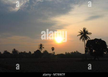 Tramonto alle Università di Kasetsart Foto Stock