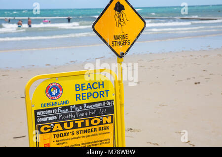 Relazione sulla spiaggia di segno di avvertimento stinger marine, Four Mile beach Port Douglas in Queensland, Australia Foto Stock
