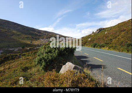Vista sulla strada nella valle Glendasan in Co Wicklow, Irlanda Foto Stock