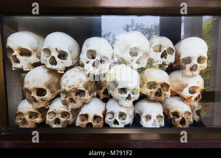 Ossa umane; scafi delle persone uccise nei campi di sterminio al centro commemorativo, museo del centro genocidio di Choeung Ek, Phnom Penh, Cambogia Asia Foto Stock
