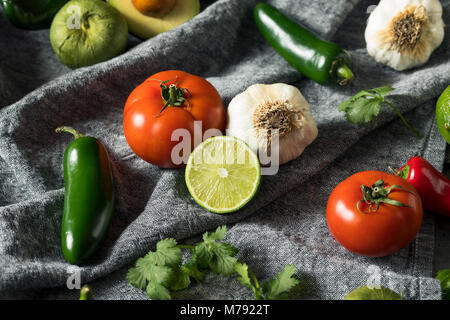 Materie organiche messicano sani di verdure e ingredienti di erbe Foto Stock