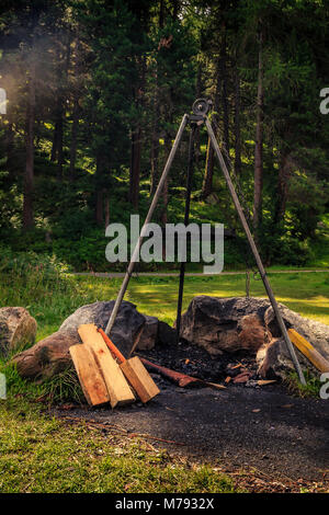 Pubblica sito pic-nic con barbecue installazione e legna da ardere nel bosco al Lej Marsch vicino a San Moritz. Alta Engadina, Svizzera Foto Stock