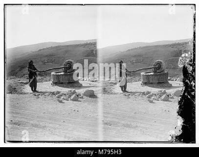 Una fotografia di un beduino che lavora con una mola, uno strumento importante per la macinazione del grano. L'immagine fornisce uno sguardo sulla vita tradizionale beduina e sugli strumenti utilizzati nella sopravvivenza quotidiana. Foto Stock
