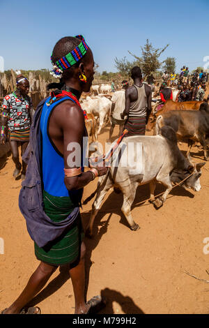 Giovani Hamar uomini Acquisto e vendita di bestiame al settimanale mercato tribale In Dimeka, Valle dell'Omo, Etiopia Foto Stock