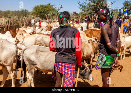 Giovani Hamar uomini Acquisto e vendita di bestiame al settimanale mercato tribale In Dimeka, Valle dell'Omo, Etiopia Foto Stock