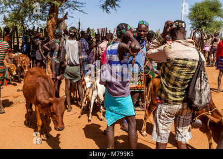 Giovani Hamar uomini Acquisto e vendita di bestiame al settimanale mercato tribale In Dimeka, Valle dell'Omo, Etiopia Foto Stock