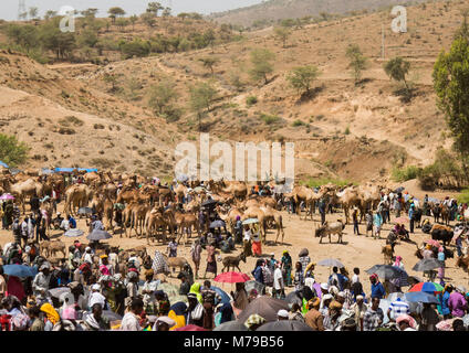 Panoramica della domenica mercato sambate, Oromo, Sambate, Etiopia Foto Stock