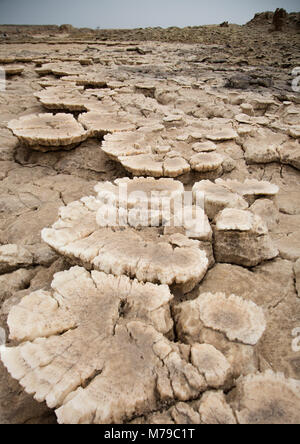 Il paesaggio vulcanico di Dallol nella depressione di Danakil, regione di Afar, Dallol, Etiopia Foto Stock