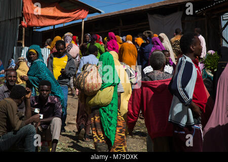Donna acquisto khat in awaday khat mercato vicino a harar, khat capitale del mondo, Harari regione, Awaday, Etiopia Foto Stock