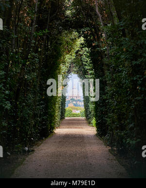 Roma, Italia - 13 Ottobre 2016: vista del Vaticano attraverso un percorso ad albero Foto Stock