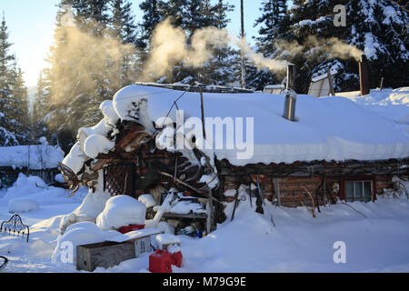 Nord America, USA, Alaska, Nord Alaska, James Dalton Highway, Brooks Range, Wiseman, log cabin, capanne di legno, Foto Stock