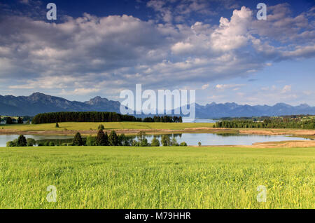 In Germania, in Baviera, Algovia, est Allgäu, Königswinkel, Illasbergsee, Forggensee, Tannheimer alpi, Säuling, Ammergauer Alpi, Foto Stock