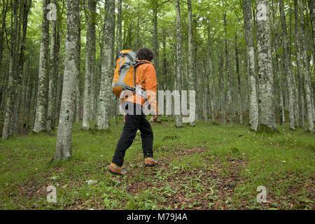 Escursionismo in scena a Monte Cavallo, Dolomiti heigh percorso n. 7, le Alpi Carniche, Veneto, Italia, Foto Stock