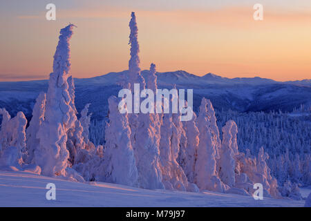 Nord America, USA, Alaska, central Alaska, James Dalton Highway, paesaggio invernale, Foto Stock