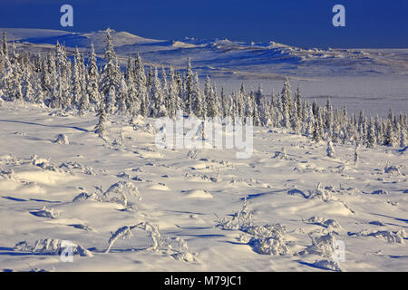Nord America, USA, Alaska, central Alaska, James Dalton Highway, paesaggio invernale, Foto Stock