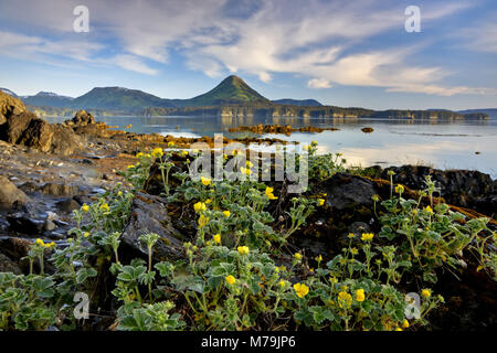 Nord America, USA, Alaska, Kodiac isola, Monakshak Bay, il paesaggio di montagna, montagne litoranee, Coast Mountains bay, Foto Stock