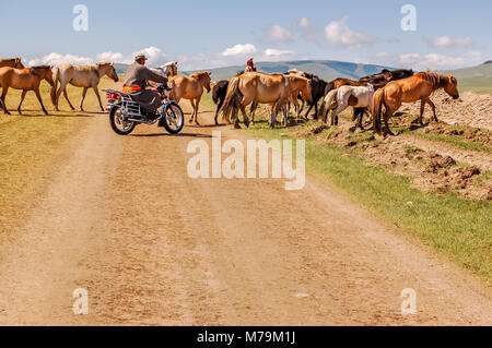 Distretto Shine-Ider, Mongolia - Luglio 22, 2010: il mongolo uomini su moto & cavallo allevamento cavalli in tutta sterrata sulla steppa Khovsgol in provincia Foto Stock