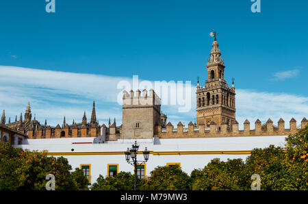 La Giralda di Siviglia, viste dal Patio de los Naranjos. Splendidi edifici e treccia arancione con cielo blu chiaro. Famoso patrimonio di Andalusia, Spai Foto Stock