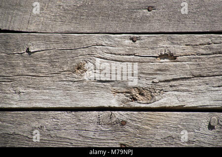 Grungy weathered orizzontale non verniciata argenteo fienile schede su un vecchio ourbuilding come sfondo Foto Stock