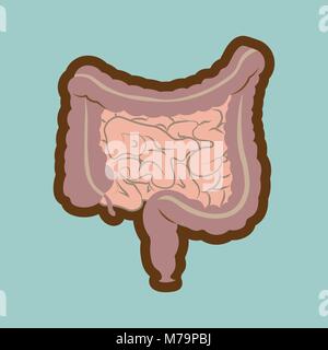 Apparato digestivo umano intestini gut anatomia del tratto gastrointestinale schema. Uno stile piatto Illustrazione Vettoriale