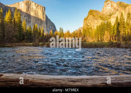 Paesaggio di colore tramonto foto Yosemite National Park, California, Stati Uniti d'America, con El Capitan e Cattedrale di guglie inondate di luce dorata fiume in primo piano Foto Stock