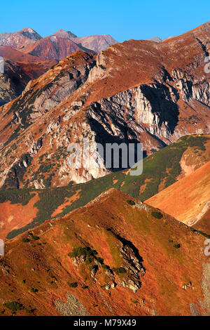 Polonia, Monti Tatra, Zakopane - Ciemniak, Stoly e Rozpadla Gran picchi con Czerwone picchi Wierchy Western Tatra mountain range panorama in backg Foto Stock