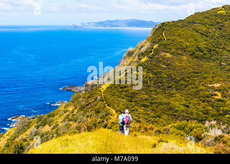 Walkers sul sentiero costiero a est di Tapotupotu Bay, nei pressi di Cape Reinga, Isola del nord, Nuova Zelanda con vista verso Ngataea o Hooper punto Foto Stock