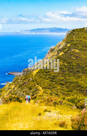 Walkers sul sentiero costiero a est di Tapotupotu Bay, nei pressi di Cape Reinga, Isola del nord, Nuova Zelanda con vista verso Ngataea o Hooper punto Foto Stock