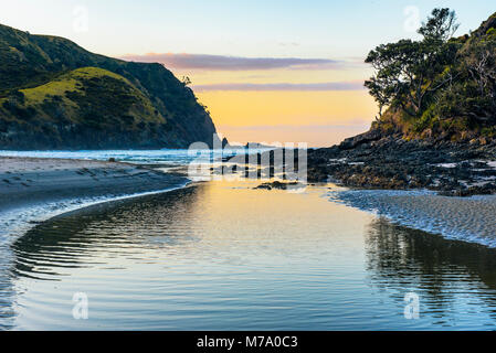 Luce della Sera su flusso Tapotupotu dove entra Tapotupotu Bay, nei pressi di Cape Reinga, Isola del nord, Nuova Zelanda Foto Stock