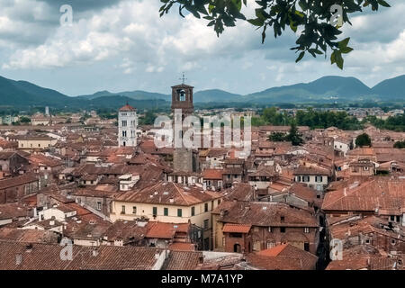 Vista aerea del centro di Lucca, Toscana, Italia dalla Torre Guinigi Foto Stock