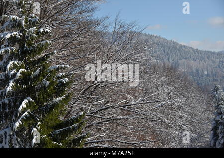 Sul mio modo di Transilvania da Bucarest, in Romania Foto Stock