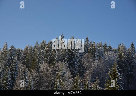 Sul mio modo di Transilvania da Bucarest, in Romania Foto Stock