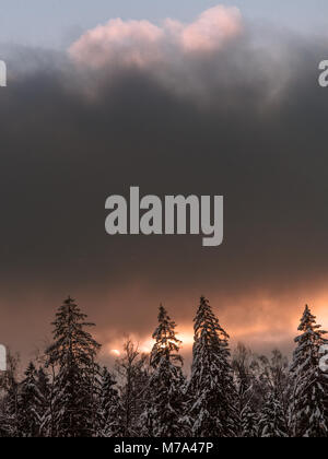 Inverno il sole splende attraverso una pausa tra le nuvole al tramonto. Il disco arancione del sole sopra la coperta di neve tree tops. Foto Stock