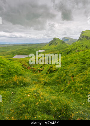 Verdi colline sull'Isola di Skye come visto da Quiraing. Due piccoli laghi in background con piccoli fiori di colore giallo nella parte anteriore. Meteo a sopraggitto. Foto Stock