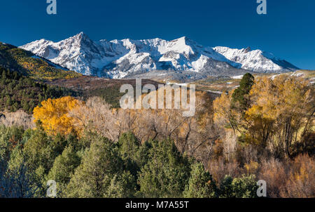 Gamma Sneffels sotto la neve, Aspen Grove nel tardo autunno, vista da Dallas Creek Road, San Juan Mountains, montagne rocciose, Colorado, STATI UNITI D'AMERICA Foto Stock