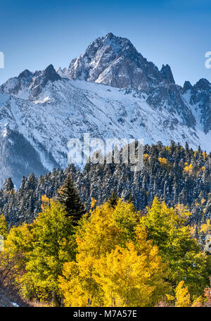 Montare Sneffels sotto la neve, Aspen Grove nel tardo autunno, vista da Dallas Creek Road, San Juan Mountains, montagne rocciose, Colorado, STATI UNITI D'AMERICA Foto Stock