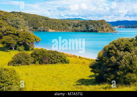 Yacht in Entico Bay a Urupukapuka Island nella Baia delle Isole, Isola del nord, Nuova Zelanda Foto Stock