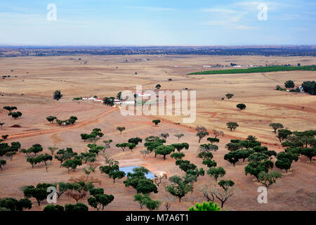 La vasta pianura Alentejo con alberi da sughero, vicino a Castro Verde, Portogallo Foto Stock