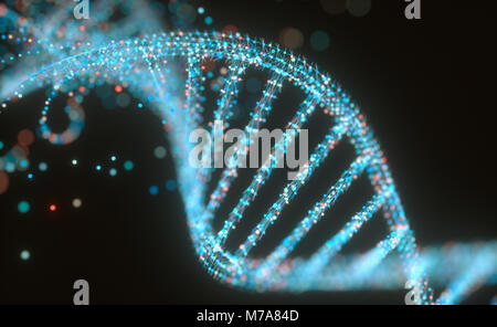 DNA (acido desossiribonucleico) struttura, illustrazione. Foto Stock