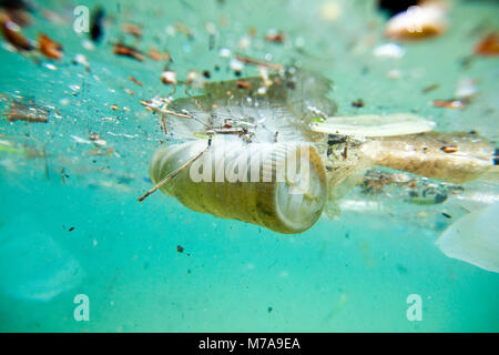 Cestino galleggiante sulla riva di Marsiglia linea, Bouches-du-Rhône, Francia. Inquinamento idrico è in gran parte causato dalle attività umane e ha avuto un notevole impatto o Foto Stock