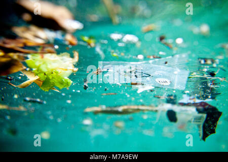 Cestino galleggiante sulla riva di Marsiglia linea, Bouches-du-Rhône, Francia. Inquinamento idrico è in gran parte causato dalle attività umane e ha avuto un notevole impatto o Foto Stock