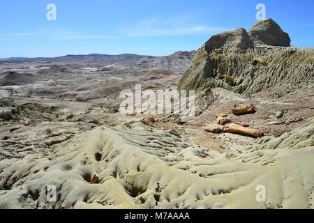 Pietrificato di tronchi di alberi esposti da erosione nella foresta pietrificata, Bosque Petrificado José Ormachea, Sarmiento, Chubut Foto Stock