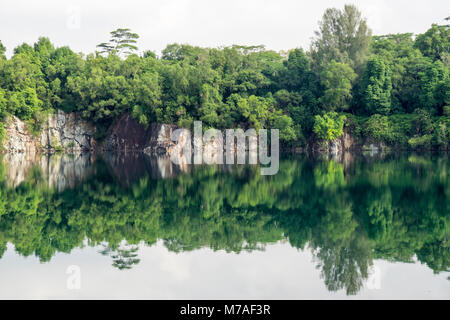 La riflessione della foresta nel lago artificiale del riempito in Ketam cava sulla isola di Palau Ubin, Singapore. Foto Stock