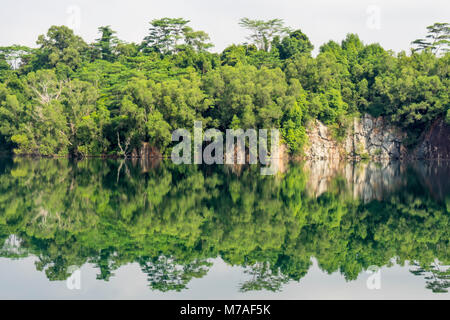 La riflessione della foresta nel lago artificiale del riempito in Ketam cava sulla isola di Palau Ubin, Singapore. Foto Stock