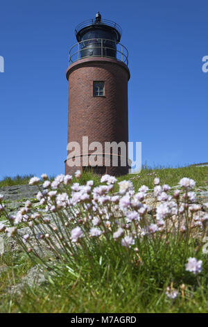 Faro "Nordmarsch' sul Hallig Langeneß, costa del Mare del Nord, Schleswig-Holstein velme, fregio del nord paese i Frisoni del Nord, SCHLESWIG-HOLSTEIN, Germania, Foto Stock