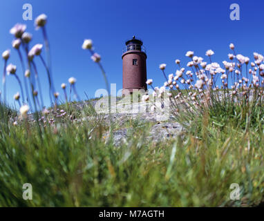 Faro "Nordmarsch' sul Hallig Langeneß, costa del Mare del Nord, Schleswig-Holstein velme, fregio del nord paese i Frisoni del Nord, SCHLESWIG-HOLSTEIN, Germania, Foto Stock